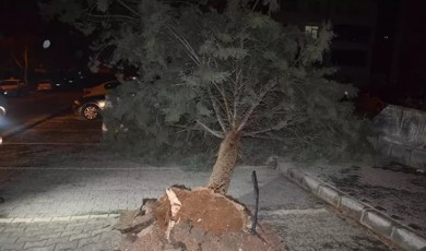 Malatya’da Fırtınaya Hazır Olun! Güneş Var Ama Esinti Sert