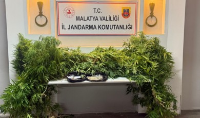 Malatya’da Uyuşturucuya Jandarma Darbesi: 2 Gözaltı