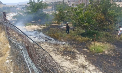 Yanan Ot Değil, Kayısı’nın Hatırası!