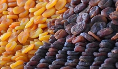 Malatya Kayısısında Sahtecilik Alarmı: İhracat Tehlikede!