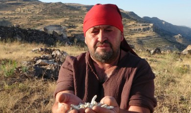 Malatya’nın Dağlarında Yetişiyor, Kilosu Dudak Uçuklatıyor!