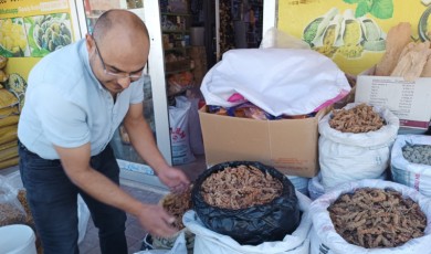 Organik Şifa Deposu: Darende Sumağı Pazarlarda Kapış Kapış