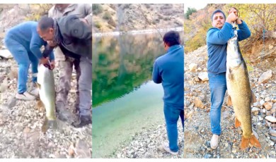 Doğanyol’da Barajdan Dev Balık Çıktı: O Anlar Kamerada