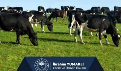 Tarımda Destek! 471 Milyon Liralık Ödeme Çiftçilerin Hesabında