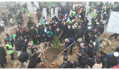 Deprem Sonrası Malatya'dan... 10 Bin Fidan ve Yüz Binlerce Tohum Toprakla Buluştu