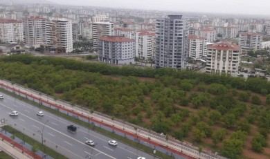 Eski Meyvecilik Enstitüsü Alanı İçin Kayısı Açık Hava Müzesi Önerisi Gündemde