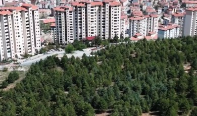 Malatya'da 25 Kasım’da Yüzbinlerce Fidan Toprakla Buluşacak!