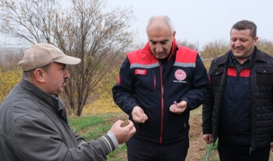 Malatya'da Alternatif Ürüne Destek: Safrandan Çiftçi Gelirine Katkı!