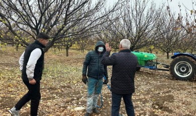 Malatya'nın Altın Meyvesi Tehlikede: Kayısı Üreticilerine Hayati Uyarı!