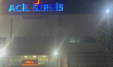 Viyadük Üzerinde Can Pazarı! Beş Araçlık Zincirleme Kazada İki Kişi Yaralandı