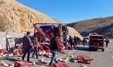 Akçadağ Yolu Tavuk Mezarlığına Döndü! Yüzlerce Can Telef Oldu