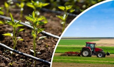 Çiftçiler İçin Kritik Süreçte Son Viraja Girildi Başvurular 31 Aralık'ta Bitiyor