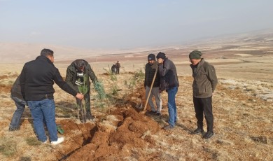 Darende Yeniköy'de Çevre Seferberliği Başladı: Öğrenci, Öğretmen ve Mahalleli El Ele, 3 Bin Fidan Toprakla Buluştu!