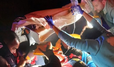 Malatya-Elazığ Karayolunda Korkunç Kaza: Otomobil Trambüs Direğine Çarparak Hurdaya Döndü