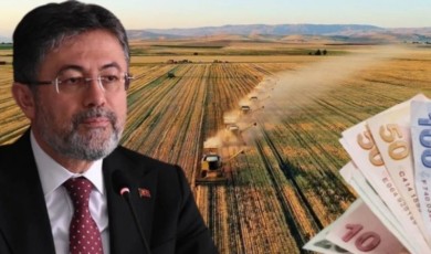Tarımda Destek: 9 Farklı Kalemde Ödeme Yapılıyor