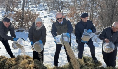 Doğanşehir’de Kar Altında Yaşam Mücadelesi Veren Canlara Umut Oldular
