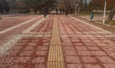 İnönü Üniversitesinin Meşhur Pembe Yolu Tanınmaz Hale Geldi