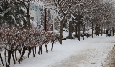 Kar Tatilini Fırsat Bilen Çocuklar Sokaklarda Doyasıya Eğlendi