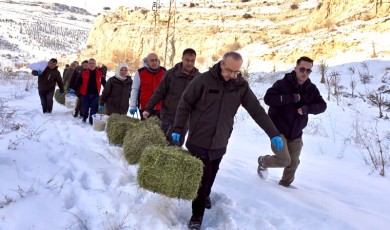 Kış Şartlarında Aç Kalan Yaban Hayvanlarına Devlet Eli Uzandı
