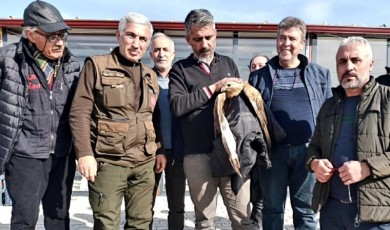 Malatya'da Yaralı Kızıl Şahin İçin Seferber Oldular