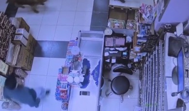 Dilek Mahallesi’nde Markete Giren Yaban Sansarı Paşa İsimli Köpekle Kovalamaca Oynadı