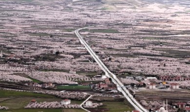 Kayısı Cenneti Malatya'da Çiçeklenme Dönemiyle Birlikte Muazzam Manzaralar Oluştu
