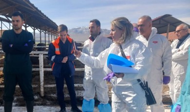 Sultansuyu Tarım İşletmesinde Şap Alarmı: Karantina Süreci Başlarken On Büyükbaşın Kesildiği İddiası Ortalığı Karıştırdı