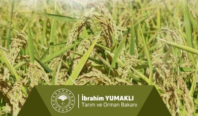 Tarımsal Destek Ödemelerinde Takvim Netleşti: İşte Tüm Detaylar