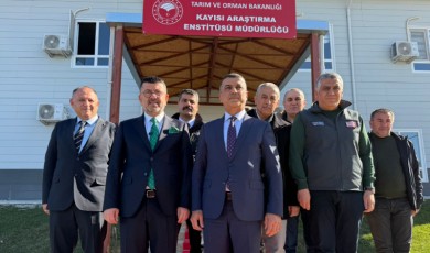 Veli Ağbaba’dan Kayısı İçin Milli Mesele Vurgusu: Bu Ürünü Gözümüz Gibi Korumalıyız