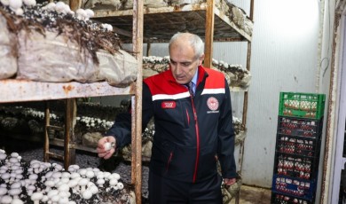 Akçadağ'da Mantar Üretimi Alternatif Tarımın Yeni Gözdesi Oldu