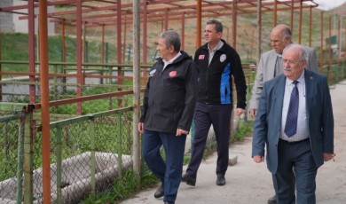 Darende Canlı Hayvan Pazarı ve Mezbahada Bayram Seferberliği Başladı
