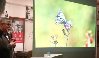 Malatya Kelebek Çeşitliliğinde Türkiye'nin Zirvesine Demir Attı