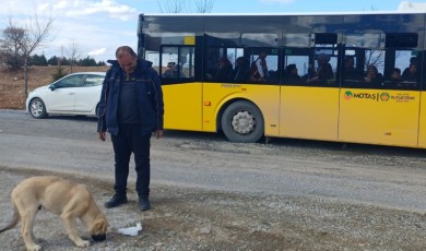 MOTAŞ Şoförü Yalçın Bulut Patisine Taş Batan Köpeği Elleriyle Kurtardı