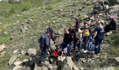 Pütürge'de Kayalıklardan Düşen Seksen Yaşındaki Kadın İçin Ekipler Seferber Oldu