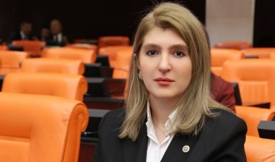 Sevgi BERK / Ayıp Oluyor Sayın Vekil!