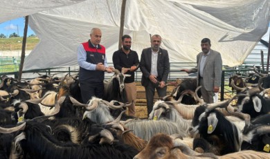Yetiştiricilere Sahte Para ve Karşılıksız Çek Uyarısı! Güvenli Ödeme Almadan Hayvanınızı Teslim Etmeyin
