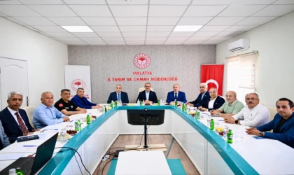 Malatya Kayısısında Kritik Dönemeç: Milyonların Gözü Temmuz Ayında Açıklanacak Rakamlarda
