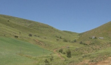 Telefon Sinyali İçin Tepelere Tırmanan Yayla Sakinleri Yetkililerden Çözüm Bekliyor