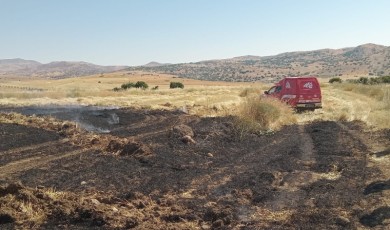 Arguvan'daki Ekin Yangını Büyük Çabaya Rağmen Maddi Hasara Yol Açtı