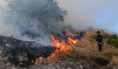 Darende İlçesindeki Ot Yangını Kısa Süreli Paniğe Neden Oldu