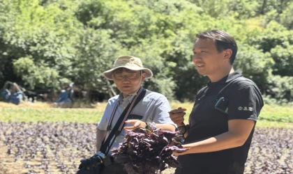 Japon Heyeti Arapgir'in Mor Reyhanına Hayran Kaldı