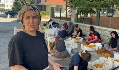 Kayısı Çavuşu Pınar Hanım'dan Başkanlar Sami Er ve Bayram Taşkın'a Davet: Emekçi Kadınlar Olarak Sizleri Ağırlamak İsteriz
