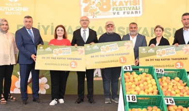 Malatya'nın Altın Değerindeki En İyi Kayısıları Dünya Sahnesine Çıkmak İçin Yarıştı