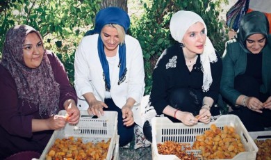 Milletvekili Ölmeztoprak Sütlüce Mahallesinde Kadınların Kayısı Mesaisine Katıldı