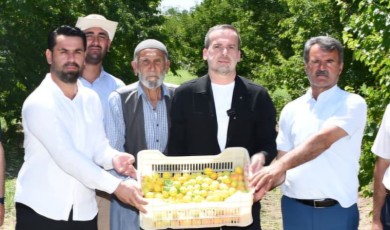Salih Karademir Toprak Mahsulleri Ofisini Acil Kayısı Alımına Davet Etti