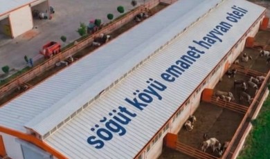 Tarım Bakanlığının Pilot Uygulaması Olan Tesis Üreticileri Sevindirdi