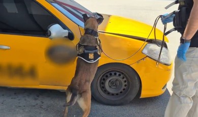 Ticari Taksiyle Batı İllerinden Getirilen Tonluk Zehir Hammaddesi Engellendi!