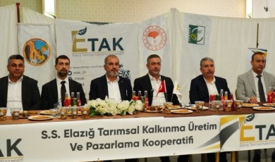 Baskil Kayısı Çalıştayı Sonuç Bildirgesi Sektörde Yeni Bir Tartışma Başlattı