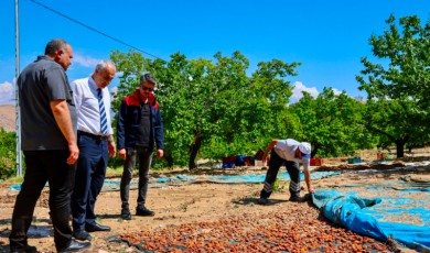 Hekimhan’da Üreticinin Zararı Yerinde İnceleniyor: Ekipler Sahada