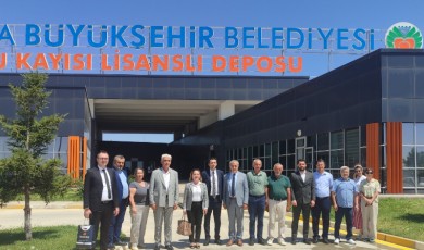Kayısıda Fiyat İstikrarı İçin Yeni Dönem Başlıyor